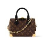 LOUIS VUITTON Speedy Trunk 20 Bag - 3-way carry