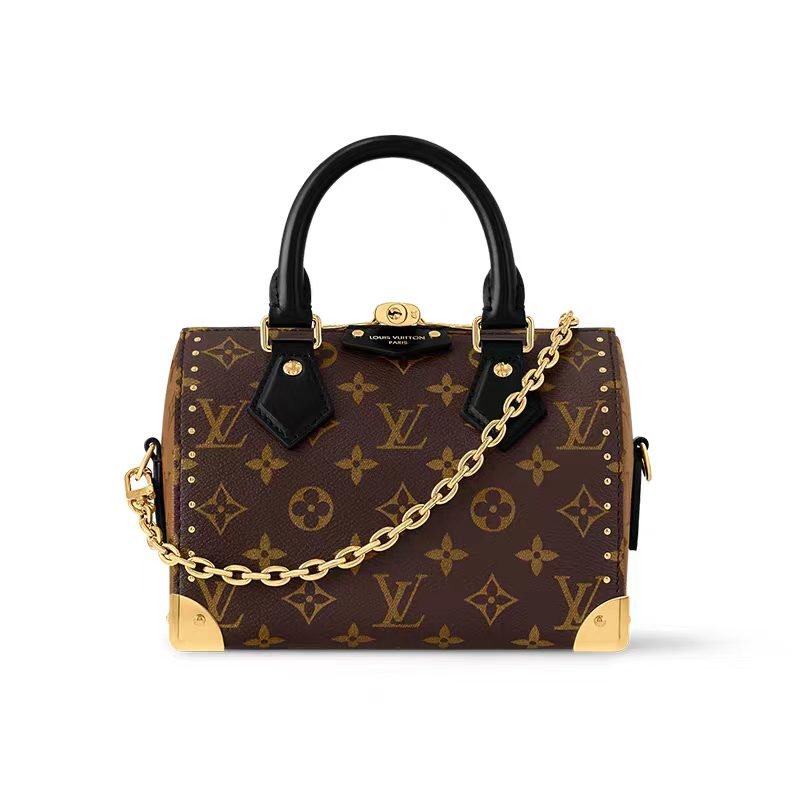 微信图片_20260202110951 LOUIS VUITTON Speedy Trunk 20 Bag - 3-way carry - Image 1