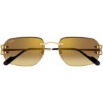 Cartier Narrow Frame Pilot Sunglasses CT0468S - Image 4