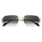 Cartier Narrow Frame Pilot Sunglasses CT0468S